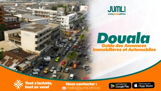 Vue aérienne de Douala animée