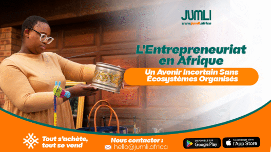 LEntrepreneuriat-en-Afrique-Un-Avenir-Incertain-Sans-Ecosystemes-Organises
