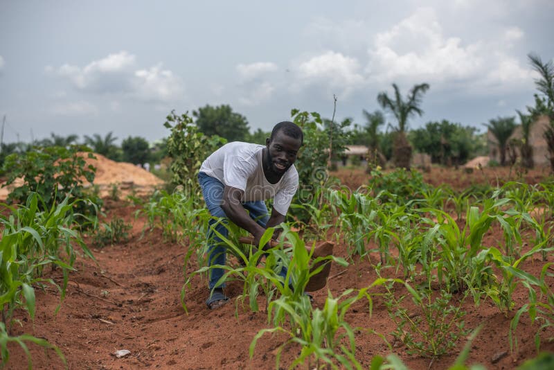 découvrez comment l’entrepreneuriat rural en afrique favorise le développement économique, crée des emplois et valorise les ressources locales. explorez les opportunités, défis et stratégies de réussite dans les zones rurales africaines.